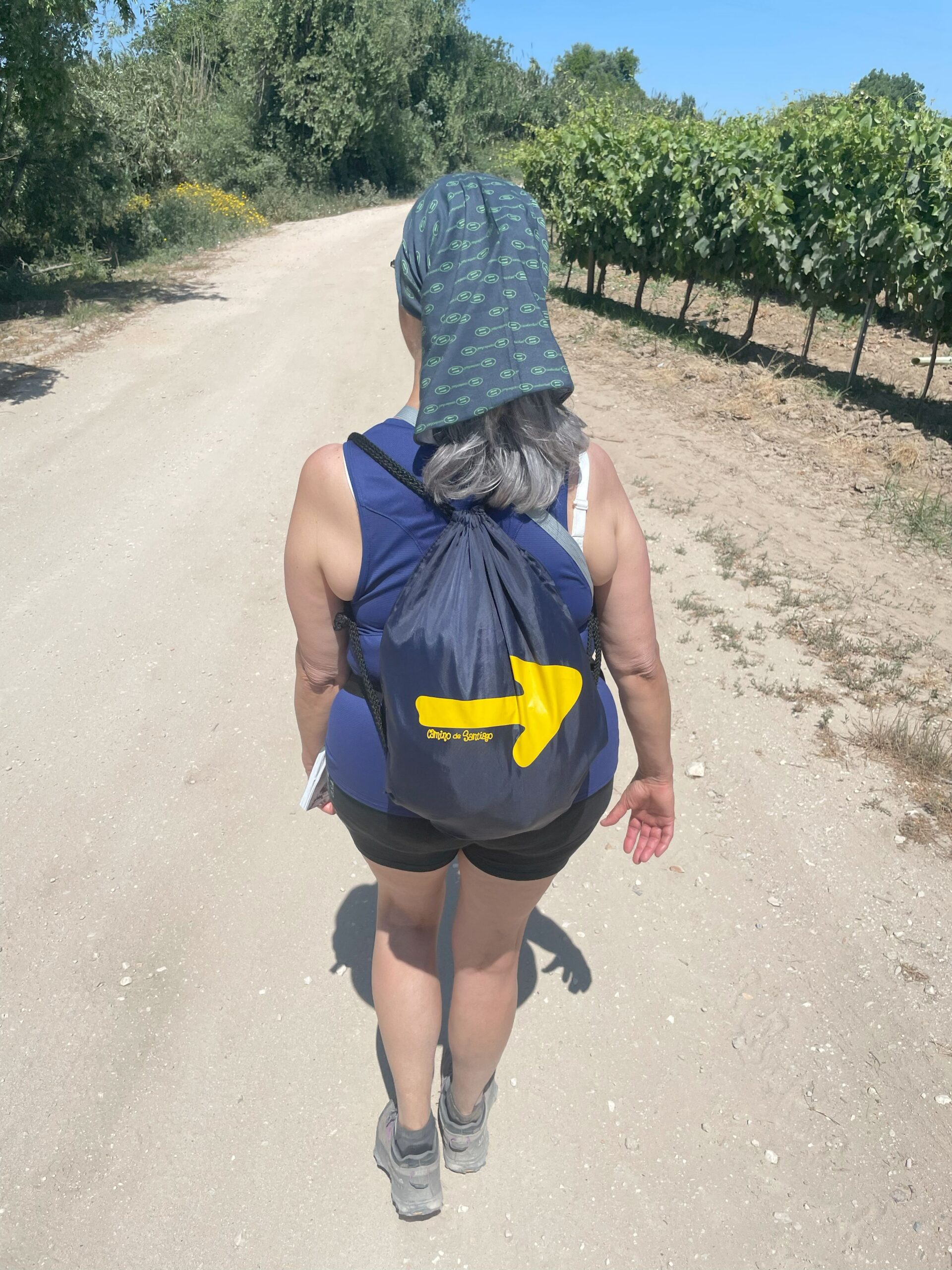 Alle Wege führen nach Santiago de Compostela